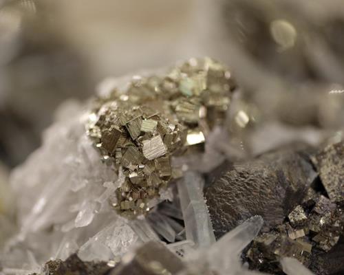 Fossielen - Mineralen - Ars Mineralis