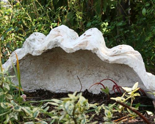 Palourdes géantes fossiles de Tridacna du Kenya