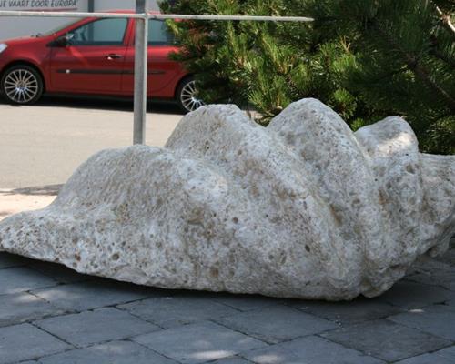 Tridacna Riesenmuschel aus Kenia