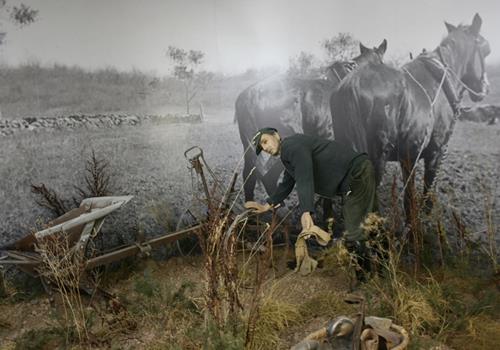 "Losheim 1945 - 1958" - Nieuws